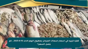 قفزة كبيرة في أسعار أسماك المرجان بمطروح اليوم الأحد 10-8-2025.. كم وصل السعر؟